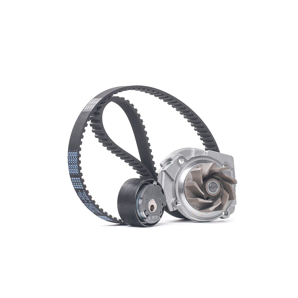 Trasmissione a cinghia/catena